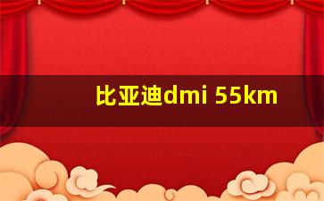 比亚迪dmi 55km